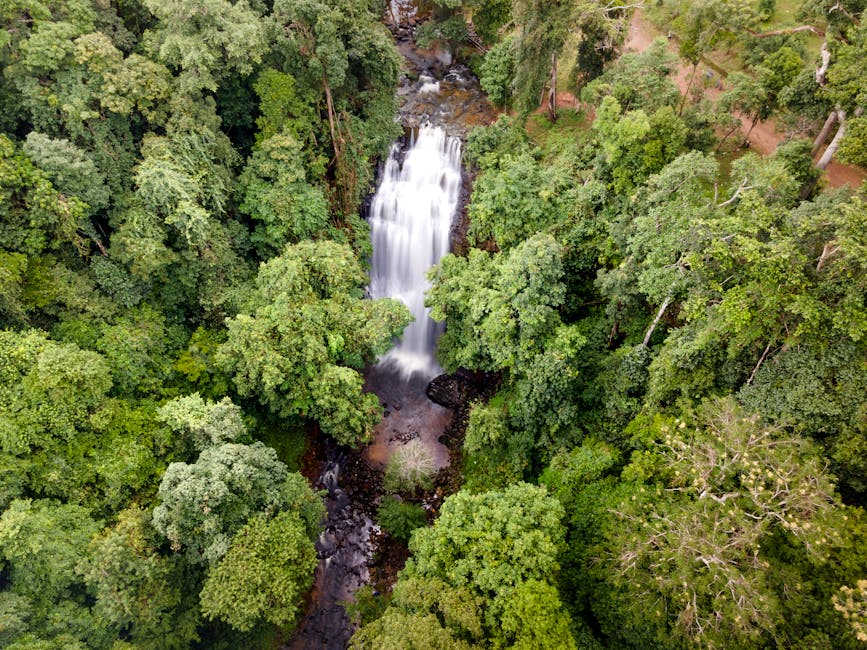 materuni waterfalls wildlife spotting