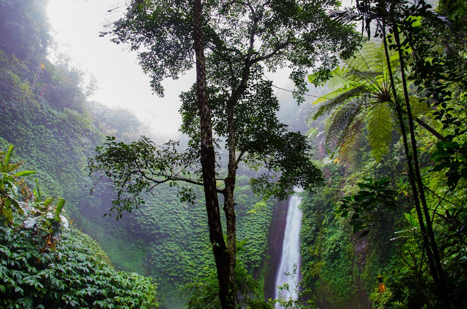 materuni waterfalls and coffee tours