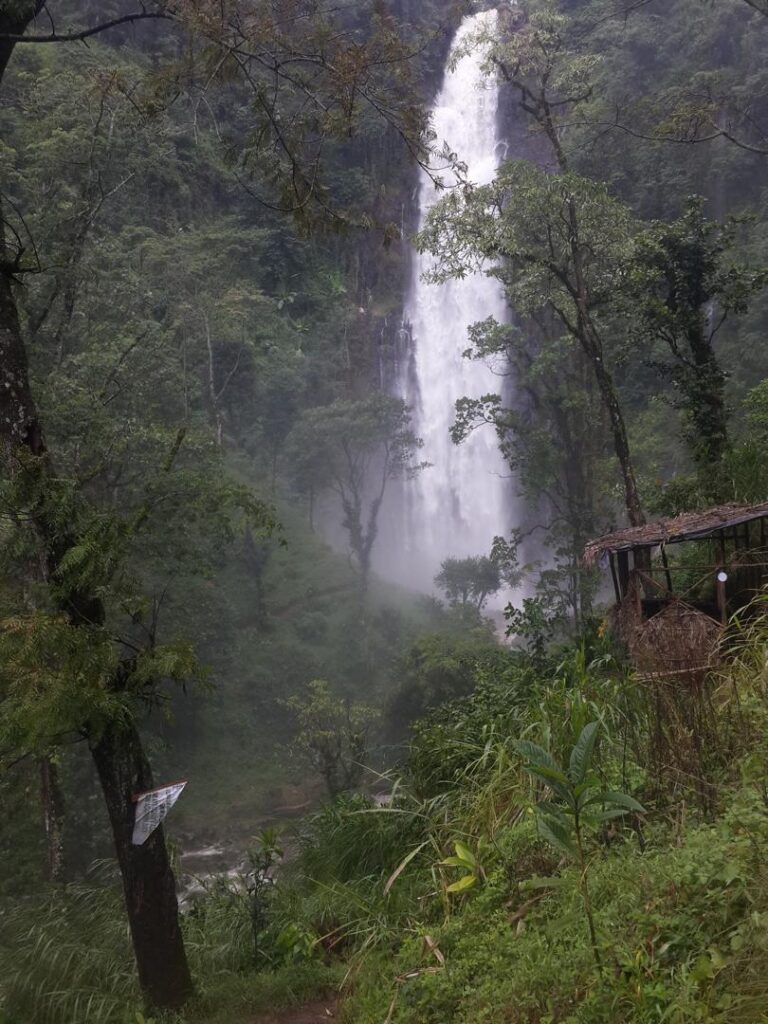 IMG 20260607 WA0038 768x1024