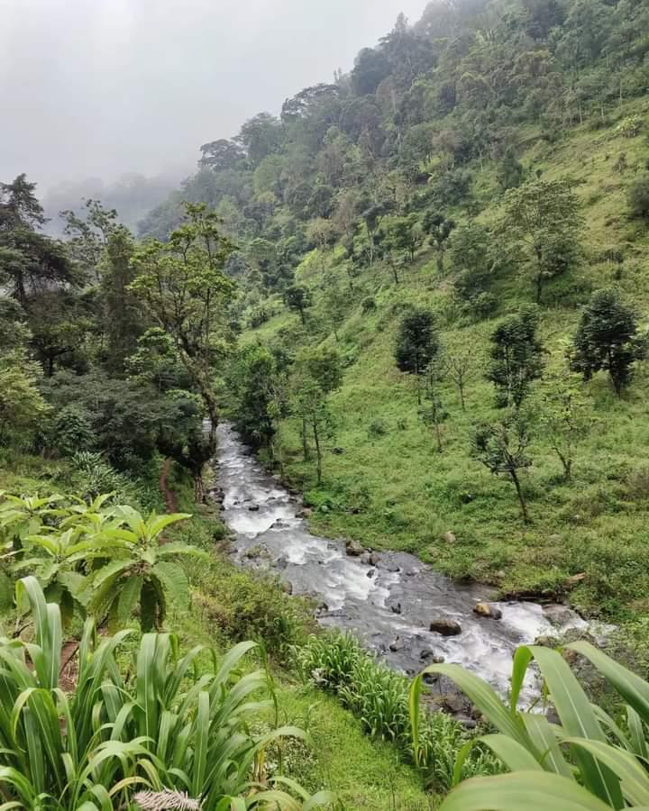 IMG 20260607 WA0041